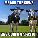 cool cows | ME AND THE COWS; BEING COOL ON A PASTURE | image tagged in cool cows | made w/ Imgflip meme maker