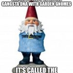 The Human G-Gnome Project | RUMORS SPEAK  OF A TOP SECRET PROJECT TO SPLICE GANGSTA DNA WITH GARDEN GNOMES; IT'S CALLED THE HUMAN G-GNOME PROJECT | image tagged in gnome,puns,dad joke,genetics,science,nerdy | made w/ Imgflip meme maker