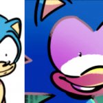 Sonic what/no meme