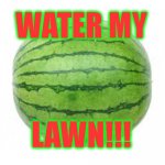 Hey kids! | WATER MY LAWN!!! | image tagged in watermelon,existentialism,pantheistic,simultaneous loving | made w/ Imgflip meme maker