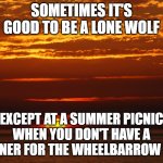 Sunset Deep Thoughts | SOMETIMES IT'S GOOD TO BE A LONE WOLF; EXCEPT AT A SUMMER PICNIC WHEN YOU DON'T HAVE A PARTNER FOR THE WHEELBARROW RACE | image tagged in sunset deep thoughts | made w/ Imgflip meme maker