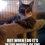 The Most Interesting Cat In The World Meme Generator - Imgflip