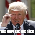 Is this how big his dick is? | IS THIS HOW BIG HIS DICK IS? | image tagged in is this how big his dick is | made w/ Imgflip meme maker