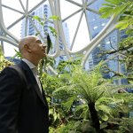 Amazon Spheres 1