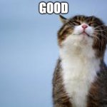 happy_cat_good | GOOD | image tagged in happy cat good | made w/ Imgflip meme maker