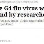 G-4 Swine Influenza
