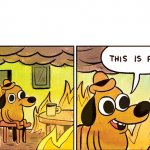 This Is Fine.