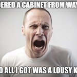 Angry Man | I ORDERED A CABINET FROM WAYFAIR; AND ALL I GOT WAS A LOUSY KID! | image tagged in angry man | made w/ Imgflip meme maker