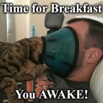 awake | Time for Breakfast; You AWAKE! | image tagged in awake | made w/ Imgflip meme maker