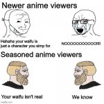 Image_title.jpeg | Newer anime viewers; Hahaha your waifu is just a character you simp for; NOOOOOOOOOOO!!!! Seasoned anime viewers; We know; Your waifu isn't real | image tagged in other anime spoiler / other game leaks | made w/ Imgflip meme maker