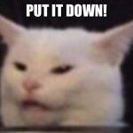 Ow | PUT IT DOWN! | image tagged in cat | made w/ Imgflip meme maker