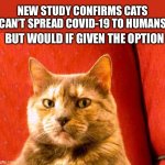 Cats want to be evil | NEW STUDY CONFIRMS CATS CAN’T SPREAD COVID-19 TO HUMANS BUT WOULD IF GIVEN THE OPTION | image tagged in memes,suspicious cat,study,cat,evil,covid-19 | made w/ Imgflip meme maker