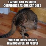 cat licking balls | I WISH I HAD AS MUCH CONFIDENCE AS OUR CAT DOES; WHEN HE LICKS HIS ASS IN A ROOM FULL OF PEOPLE | image tagged in cat licking balls | made w/ Imgflip meme maker