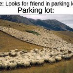 Flock of Sheep | Me: Looks for friend in parking lot; Parking lot: | image tagged in flock of sheep | made w/ Imgflip meme maker