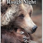 bear | Another Rough Night; Nap Time | image tagged in bear | made w/ Imgflip meme maker