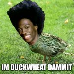 Im duckwheat dammit | IM DUCKWHEAT DAMMIT | image tagged in duckwheat | made w/ Imgflip meme maker