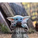 My trail of 2020 is almost up and i really don't want too pay for hell. | My free 90 day trail of 2020 is almost up; How do I cancel? | image tagged in baby yoda drinking tea,fun,memes | made w/ Imgflip meme maker