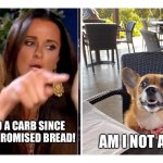 She really should stop dating animals. | I HAVEN’T HAD A CARB SINCE 2019 AND YOU PROMISED BREAD! AM I NOT A LOAF? | image tagged in called out corgi | made w/ Imgflip meme maker