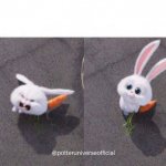 Nice and evil rabbit