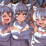 Wolves laughing anime