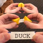 Duck | DUCK | image tagged in fortune cookie | made w/ Imgflip meme maker