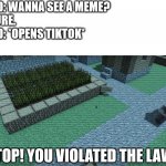 Wait, that's illegal! | FRIEND: WANNA SEE A MEME?
ME: SURE.
FRIEND: *OPENS TIKTOK*
ME:; STOP! YOU VIOLATED THE LAW! | image tagged in villager news stop you violated the law,villager | made w/ Imgflip meme maker