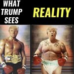 Trump vs Reality