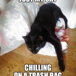 Yep, that's him. | JUST MY CAT; CHILLING ON A TRASH BAG | image tagged in chillin on a trash bag,memes,funny memes,cat memes,trash bag kitty | made w/ Imgflip meme maker