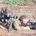 Sniper dog