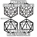 What 2020 really feels like | WHAT 2020 SHOULD HAVE BEEN LIKE; @THENERDPASTOR; WHAT 2020 REALLY FEELS LIKE | image tagged in 2020 dice | made w/ Imgflip meme maker
