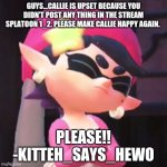 DO IT!!!! | GUYS...CALLIE IS UPSET BECAUSE YOU DIDN'T POST ANY THING IN THE STREAM SPLATOON 1_2. PLEASE MAKE CALLIE HAPPY AGAIN. PLEASE!! -KITTEH_SAYS_HEWO | image tagged in upset callie | made w/ Imgflip meme maker