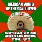 Mexican Word of the Day: Julyed | MEXICAN WORD
OF THE DAY: JULYED; AS IN YOU SAID EVERYTHING 
WOULD BE BACK TO NORMAL 
BY JUNE... JULYED | image tagged in mexican word of the day | made w/ Imgflip meme maker