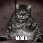 Mood | MOOD | image tagged in lazy cat,grumpy cat,cat | made w/ Imgflip meme maker