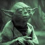 Yoda must not get sick