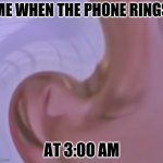 When the phone rings at 3:00am | ME WHEN THE PHONE RINGS; AT 3:00 AM | image tagged in phone ring,lemme sleeeeep | made w/ Imgflip meme maker