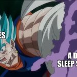 Sorry, but you were wide open! | MEMES; A DECENT SLEEP SCHEDULE | image tagged in vegito punches zamasu,memes,vegito,zamasu,dragon ball,dragon ball super | made w/ Imgflip meme maker