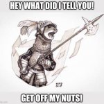 Angry Weasel | HEY WHAT DID I TELL YOU! GET OFF MY NUTS! | image tagged in angry weasel,animal,fantasy,knight | made w/ Imgflip meme maker