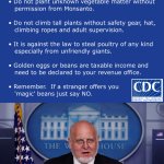 CDC Facts for Magic Bean Safety