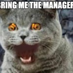 lolcat | BRING ME THE MANAGER! | image tagged in lolcat | made w/ Imgflip meme maker