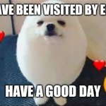 eggdog | YOU HAVE BEEN VISITED BY EGGDOG; HAVE A GOOD DAY | image tagged in eggdog | made w/ Imgflip meme maker