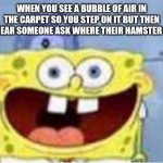 God dammit | WHEN YOU SEE A BUBBLE OF AIR IN THE CARPET SO YOU STEP ON IT BUT THEN YOU HEAR SOMEONE ASK WHERE THEIR HAMSTER WENT | image tagged in god dammit | made w/ Imgflip meme maker