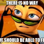 Bee Movie | THERE IS NO WAY; WE SHOULD BE ABLE TO FLY | image tagged in bee movie | made w/ Imgflip meme maker