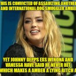 Amber Heard | THIS IS CONVICTED OF ASSAULTING ANOTHER PERSON AND INTERNATIONAL DOG SMUGGLER AMBER HEARD; YET JOHNNY DEPPS EXS WINONA AND VANESSA HAVE SAID HE NEVER HIT THEM?WHICH MAKES A AMBER A LYING BITCH AS WELL | image tagged in amber heard | made w/ Imgflip meme maker