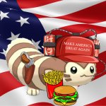 American Furret meme