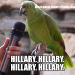 What would Hillary have done | What would Hillary Clinton have done? HILLARY. HILLARY. HILLARY. HILLARY. | image tagged in parrot,hillary clinton | made w/ Imgflip meme maker