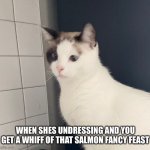 When she fancy feast | WHEN SHES UNDRESSING AND YOU GET A WHIFF OF THAT SALMON FANCY FEAST | image tagged in macy zarro | made w/ Imgflip meme maker