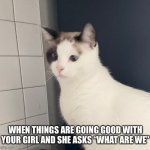 What are we | WHEN THINGS ARE GOING GOOD WITH YOUR GIRL AND SHE ASKS “WHAT ARE WE” | image tagged in macy zarro | made w/ Imgflip meme maker