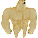 Big Doge meme