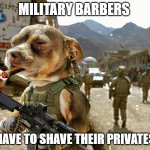 chihuahua military | MILITARY BARBERS; HAVE TO SHAVE THEIR PRIVATES | image tagged in chihuahua military | made w/ Imgflip meme maker