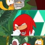 Me these days | Reasons to not freak out; Me; Logic and reasoning; Me | image tagged in knuckles throwing something | made w/ Imgflip meme maker